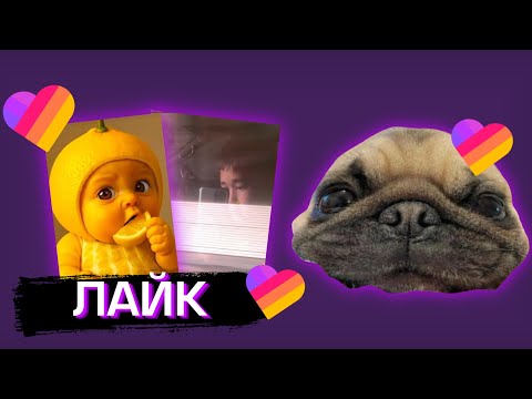 Видео: qwesoewd СМОТРИТ LIKE