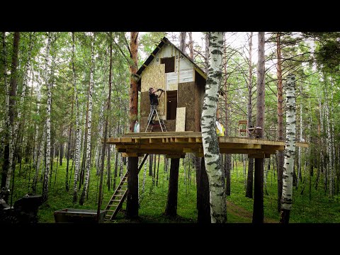 Видео: ДОМ НА ДЕРЕВЕ / ЛЕСНАЯ ЛЕГЕНДА