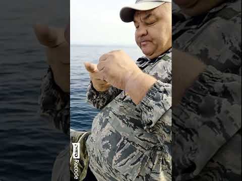 Видео: 8 октября 2025 г.