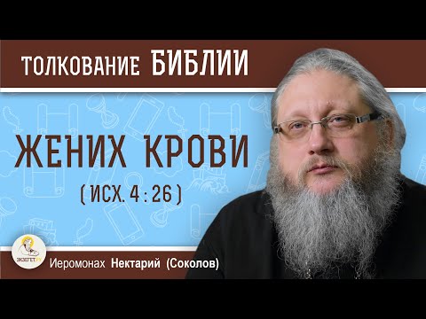 Видео: ЖЕНИХ  КРОВИ (Исх. 4:26).  Иеромонах Нектарий (Соколов)