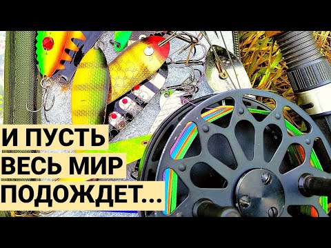 Видео: Уютная речка и рыбалка на простую снасть: инерционная катушка Нельма и блесны Mepps.