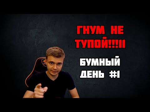 Видео: Гнум не тупой!!: Бумный день #1 | Hearthstone