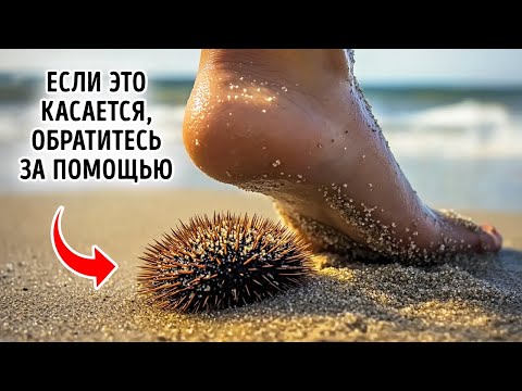 Видео: Необычные факты о морских животных, скрывающихся под водой