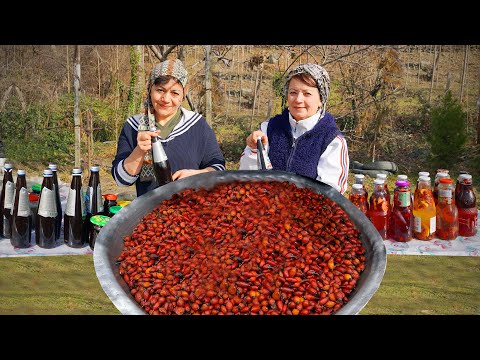 Видео: Сбор шиповника в деревне - рецепт напитка из шиповника и мелассы из шиповника