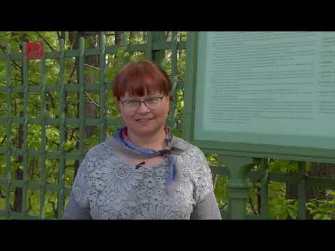 Видео: «В душистой тиши между царственных лип...» (Летний сад сквозь столетия)
