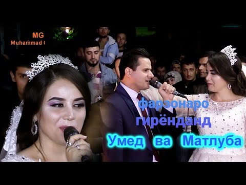 Видео: Умед ва Матлуба дар туйи арусии Матлуба