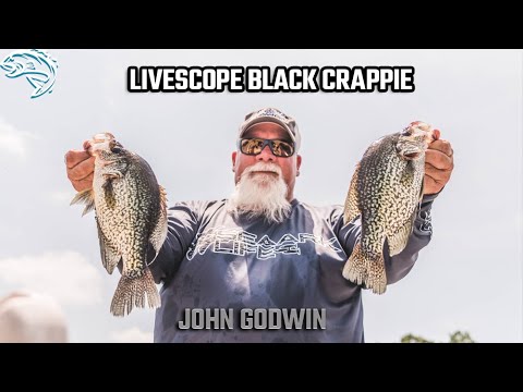 Видео: Livescope Black Crappie с Джоном Годвином // Новая лодка Годвина