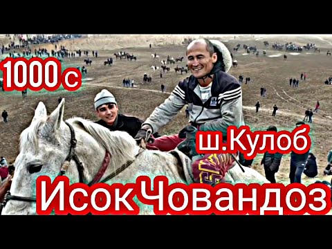 Видео: Бузкашии ш.Кулоб|Исок  човандоз,асп бо лакаби Чингиз