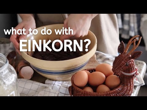 Видео: Рецепты из пшениц однозернянок, которые обязательно нужно попробовать