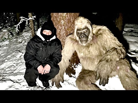 Видео: БИГФУТ РЕАЛЕН: Ужасная История Рейнджеров, Которые нашли Раненого Снежного Человека