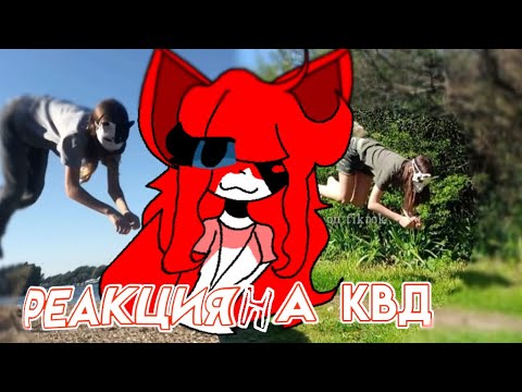 Видео: 🐈//РЕАКЦИЯ НА КВАДРОБЕРОВ!//🪻 by: Viksa_Chipsa🌻⭐️