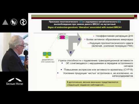 Видео: Мутации BRCA1 и рак молочной железы: потенциальная роль эстрогенного компонента