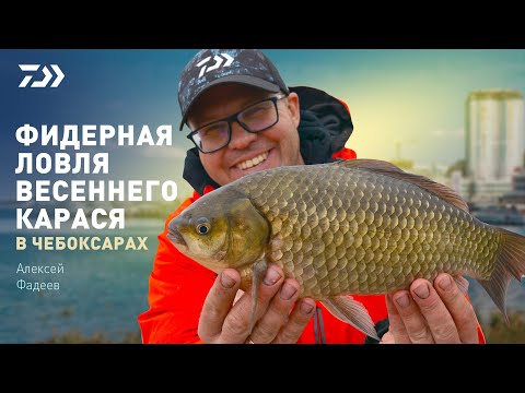 Видео: ФИДЕРНАЯ ЛОВЛЯ ВЕСЕННЕГО КАРАСЯ В ЧЕБОКСАРАХ / АЛЕКСЕЙ ФАДЕЕВ