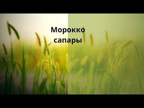 Видео: Африка континенті. Ғажайып Марокко