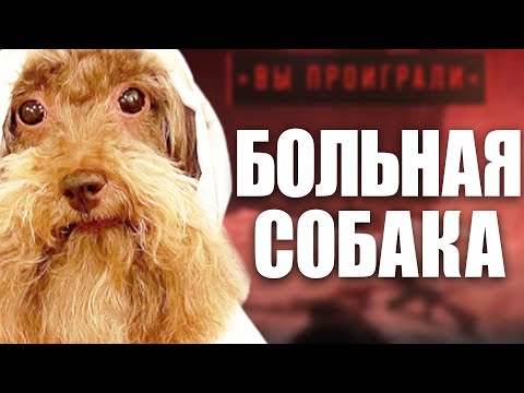 Видео: Снова кошмарим игроков в Counter-Strike 2