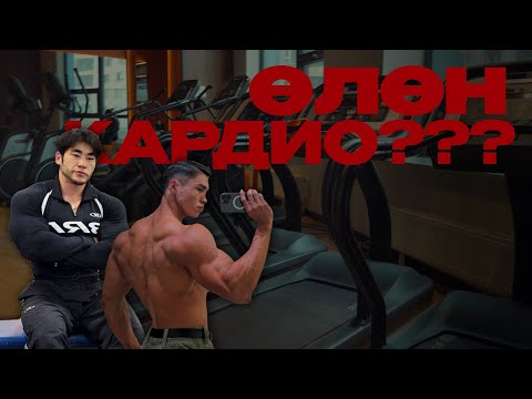 Видео: PUSH VLOG - Өлөн кардио элэг будаа болгодог гэнэ үү?? | EP5