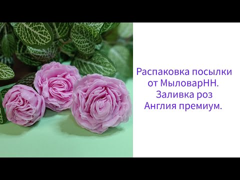 Видео: Распаковка посылки от МыловарНН, заливка форм.