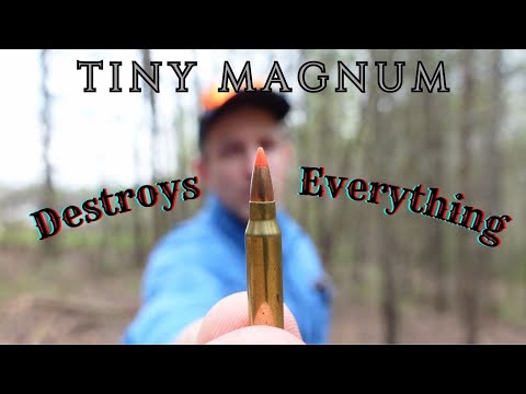 Видео: Маленький Магнум, который всё уничтожает — 17 WSM