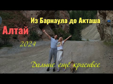 Видео: Барнаул-Акташ/Семинский перевал/перевал Чике-Таман/Слияние Чуи и Катуни/Озеро Кек-Кель
