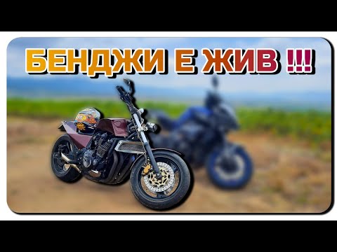 Видео: БЕНДЖИ Е ЖИВ