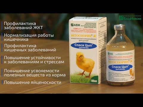 Видео: Ветоспорин-Ж Спаси цып