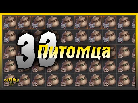 Видео: 33 Пушистых друга в Грим Соул | Grim Soul: Dark Fantasy Survival