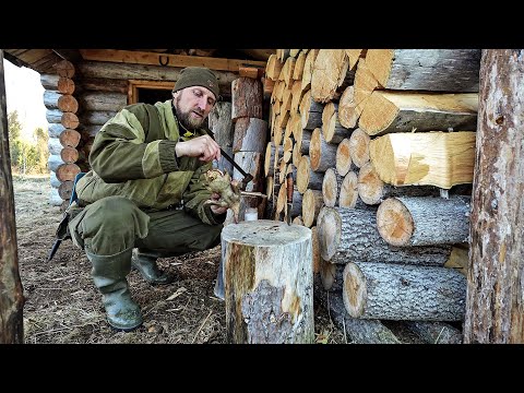 Видео: НАШЕСТВИЕ МЕДВЕДЕЙ. ОТКРЫТИЕ ОХОТЫ НА УТКУ. ЗАЧЕМ ОХОТИТЬСЯ ВЕСНОЙ НА МЕДВЕДЯ.