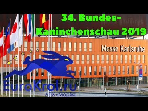 Видео: Самая крупная в мире выставка кроликов Бундесшоу
