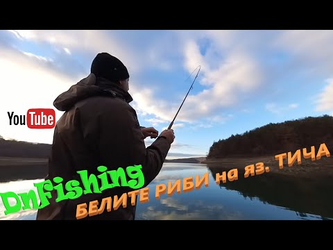 Видео: БЕЛИТЕ РИБИ на яз. ТИЧА