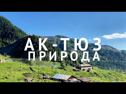 Видео: Ущелье Ак-Тюз. Невероятной красоты место, которого раньше не было на карте