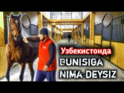 Видео: ОТХОНАМИСАН ОТХОНА ЭКАН.. БУНАКАСИ КАМ. OTGA MEHRI BORLAR UCHUN..(OT)(Mus Tv)