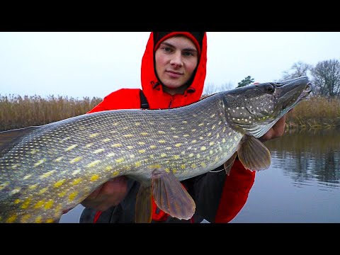 Видео: ПЛЫЛИ ЗА СУДАКАМИ, А ПОПАЛИ НА ЩУК КРОКОДИЛОВ! Ловля щуки осенью на джиг. Рыбалка на спиннинг 2022