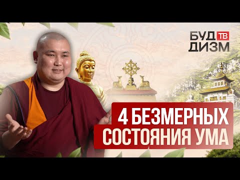 Видео: Выпуск № 35 – «4 безмерных состояния ума»