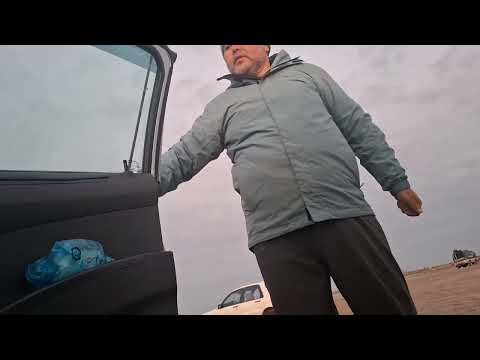 Видео: 13 ноября 2025 г.