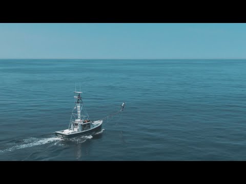 Видео: Загарпунная ловля тунца | My Fishing Cape Cod TV