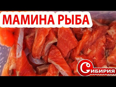 Видео: ЗНАМЕНИТАЯ МАМИНА РЫБА! ЗАПРЕЩЕННАЯ ЕДА НА РЫБАЛКЕ ИЗ  КРАСНОЙ РЫБКИ! Рецепты Андрей СИБИРИЯ