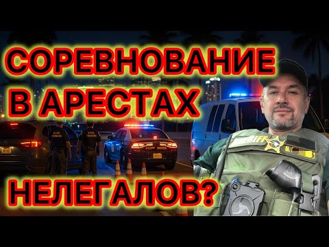 Видео: Кто арестовывает больше всех нелегальных иммигрантов -  ICE? Полиция? Шерифы?