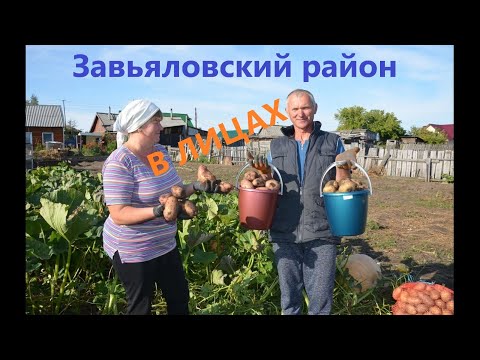 Видео: Завьяловский район в лицах. Мой край для меня - это Родина! А Родина - это Алтай!