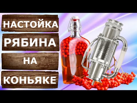Видео: Рябина на коньяке. Домашние настойки на Экстракторе Сокслета.