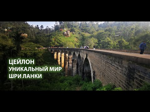 Видео: Цейлон: Уникальный мир Шри Ланки