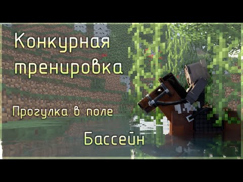 Видео: День на конюшне.