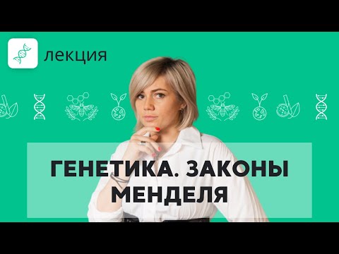 Видео: ЗАНИМАТЕЛЬНАЯ ГЕНЕТИКА | Разбор 4 ЗАДАНИЯ из ЕГЭ | Подготовка к ЕГЭ 2023 по БИОЛОГИИ