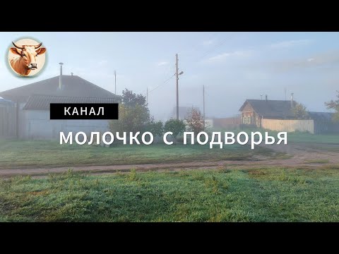 Видео: Один мой день за 10 минут