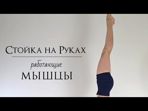 Видео: Стойка на руках | Работающие мышцы | ЙогаБанда 