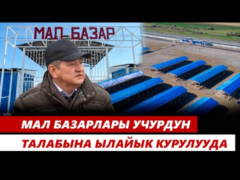 Видео: Мал базарлары учурдун талабына ылайык курулууда