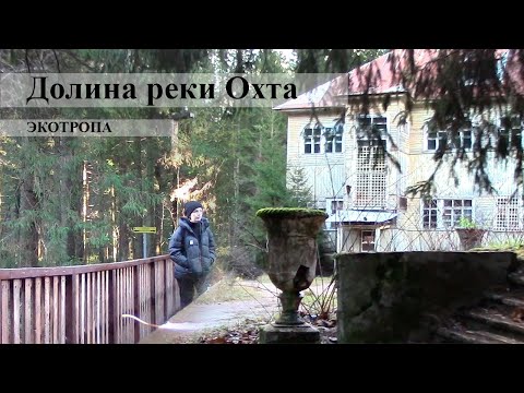 Видео: Экотропа Долина реки Охта. Прогулка в солнечный день ноября