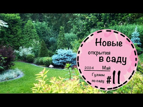 Видео: ☘️Прогулка по саду - 13 ☘️Конец мая невероятно красивый☘️ Приглашаю на прогулку по саду☘️ Май 2024