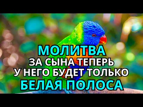 Видео: 🔑 Каждая Мать должна послушать эту молитву! Очень сильная молитва за СЫНА от БЕДЫ, ПОРЧИ И Неудачи!