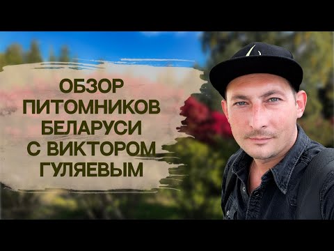 Видео: Где покупать растения?