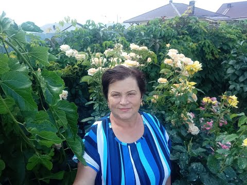Видео: Часть 1.Приехала к детям на юг!